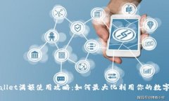tpWallet满额使用攻略：如何最大化利用你的数字钱