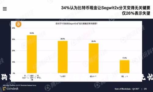 狗狗币钱包恢复完全指南：您的资产安全无忧