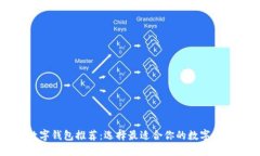 国内数字钱包推荐：选择最适合你的数字支付工