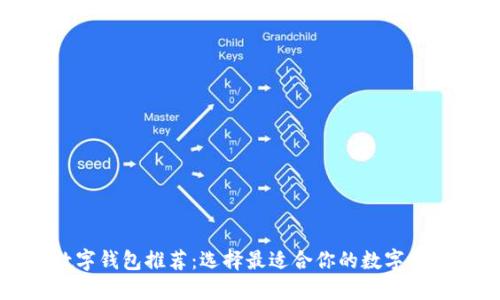 国内数字钱包推荐：选择最适合你的数字支付工具