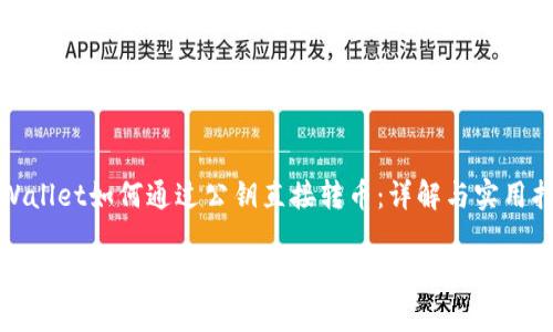 tpWallet如何通过公钥直接转币：详解与实用指南

tpWallet可以直接通过公钥转币吗？