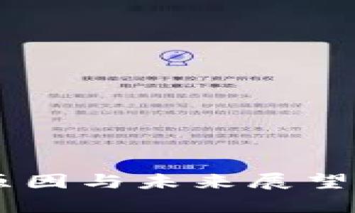 虚拟币市场崩盘的原因与未来展望：如何应对这一波动？