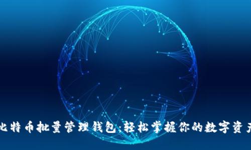 比特币批量管理钱包：轻松掌握你的数字资产