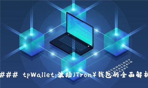 ### tpWallet：波场（Tron）钱包的全面解析