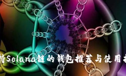 支持Solana链的钱包推荐与使用指南