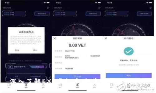 深入了解EXP虚拟币：投资前的必读指南