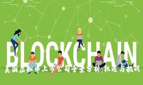 美国虚拟币上市公司全景分析：机遇与挑战