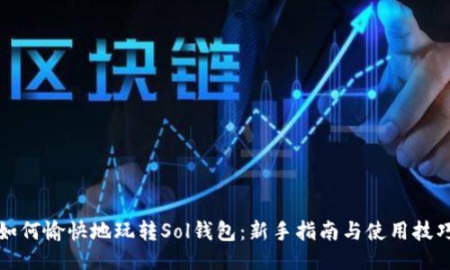 如何愉快地玩转Sol钱包：新手指南与使用技巧