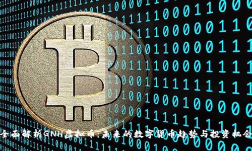 全面解析GNH虚拟币：未来的数字货币趋势与投资机会