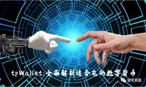tpWallet：全面解析适合屯的数字货币