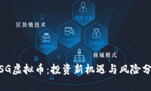 WSG虚拟币：投资新机遇与风险分析