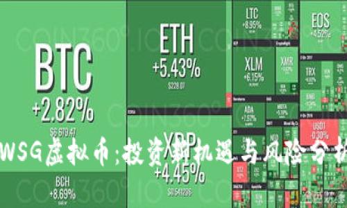 WSG虚拟币：投资新机遇与风险分析