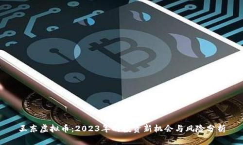 王东虚拟币：2023年的投资新机会与风险分析