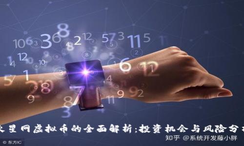 火星网虚拟币的全面解析：投资机会与风险分析