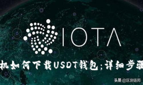 苹果手机如何下载USDT钱包：详细步骤与推荐