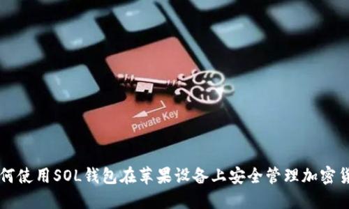 如何使用SOL钱包在苹果设备上安全管理加密货币