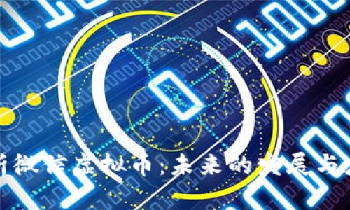 全面分析微信虚拟币：未来的发展与应用前景