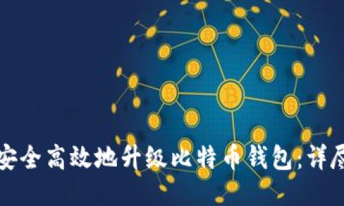 如何安全高效地升级比特币钱包：详尽指南