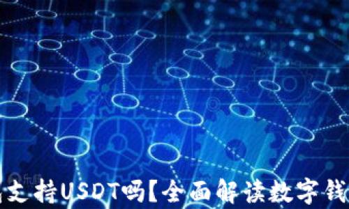 
比特币钱包支持USDT吗？全面解读数字钱包的兼容性