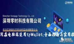 如何在电脑端使用tpWallet：全面指南与实用技巧
