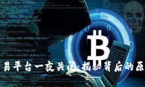 虚拟币交易平台一夜关闭：揭秘背后的原因与影响