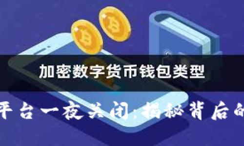 虚拟币交易平台一夜关闭：揭秘背后的原因与影响