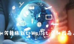 币印钱包如何转账到tpWallet：详细指南与注意事项