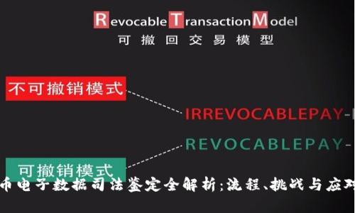 虚拟币电子数据司法鉴定全解析：流程、挑战与应对策略