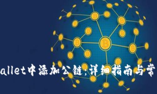 如何在tpWallet中添加公链：详细指南与常见问题解答