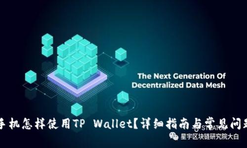 苹果手机怎样使用TP Wallet？详细指南与常见问题解答