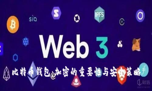 比特币钱包：加密的重要性与安全策略