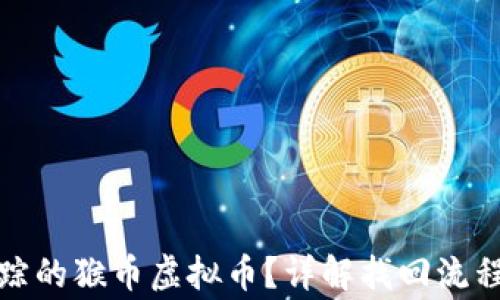 
如何找回失踪的猴币虚拟币？详解找回流程与注意事项