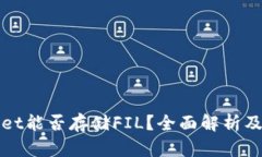 : TPWallet能否存储FIL？全面解析及操作指南