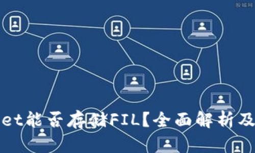 : TPWallet能否存储FIL？全面解析及操作指南