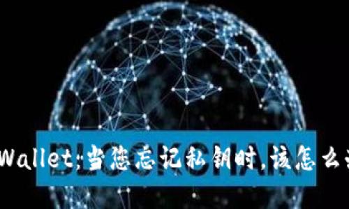 tpWallet：当您忘记私钥时，该怎么办？