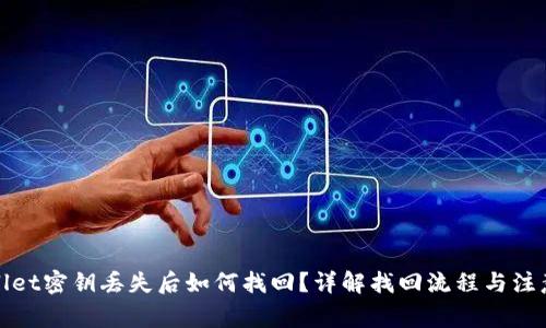tpWallet密钥丢失后如何找回？详解找回流程与注意事项