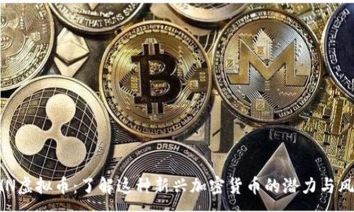 :
EHN虚拟币：了解这种新兴加密货币的潜力与风险