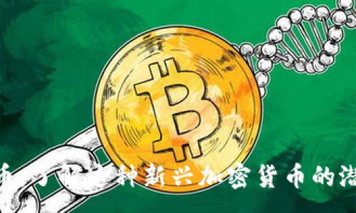 :
EHN虚拟币：了解这种新兴加密货币的潜力与风险