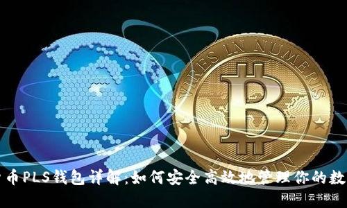 数字货币PLS钱包详解：如何安全高效地管理你的数字资产