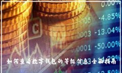 如何查看数字钱包的等级信息：全面指南