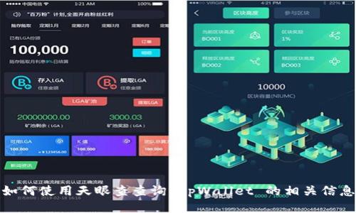 如何使用天眼查查询 tpWallet 的相关信息