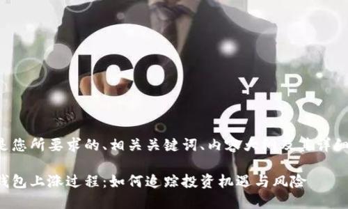 以下是您所要求的、相关关键词、内容大纲及其详细介绍。

屎币钱包上涨过程：如何追踪投资机遇与风险