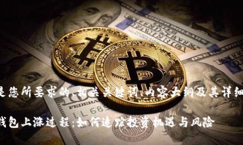 以下是您所要求的、相关关键词、内容大纲及其详细介绍。

屎币钱包上涨过程：如何追踪投资机遇与风险