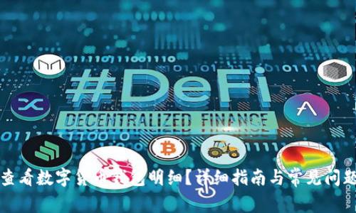 如何查看数字货币钱包明细？详细指南与常见问题解答