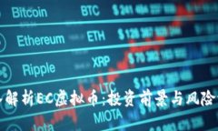 深入解析EC虚拟币：投资前景与风险评估