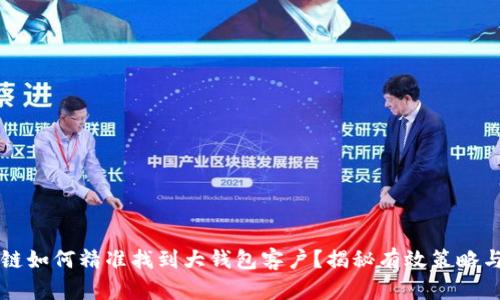 区块链如何精准找到大钱包客户？揭秘有效策略与方法