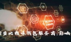 政府调查比特币钱包服务商：影响与展望