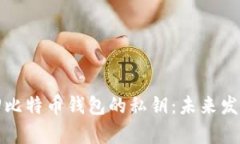 如何成功找回比特币钱包的私钥：未来发展与趋