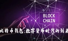 法国新总统挥舞比特币钱包：数字货币时代的到