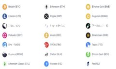 比特币钱包推荐人代码的填写指南在如今数字货